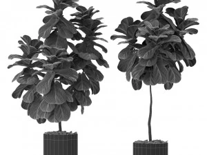 Plants collection 366 3D Model