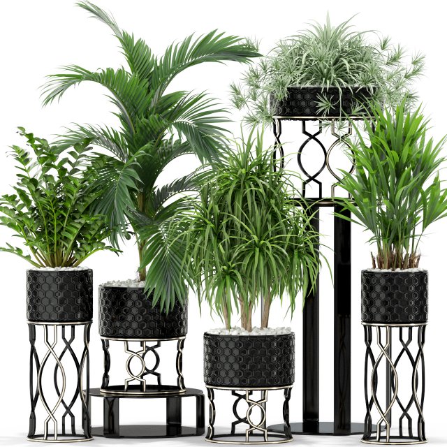 Plants collection 367 Modelo 3D .c4d .max .obj .3ds .fbx .stl .blend 