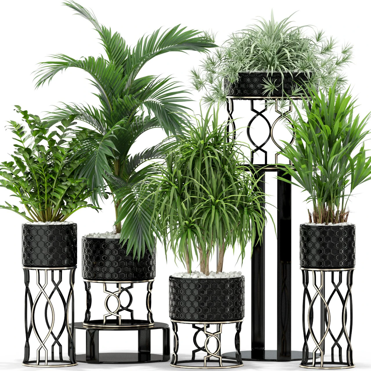 Plants collection 367 3D Model .c4d .max .obj .3ds .fbx .stl .blend 