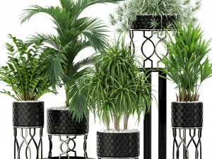 Plants collection 367 3D 모델
