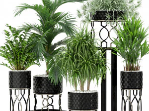 Коллекция растений 367 3D Модель