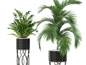 Plants collection 367 Modelo 3D