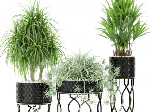 Plants collection 367 3D Model