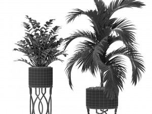 Plants collection 367 Modelo 3D