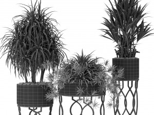 Plants collection 367 Modelo 3D