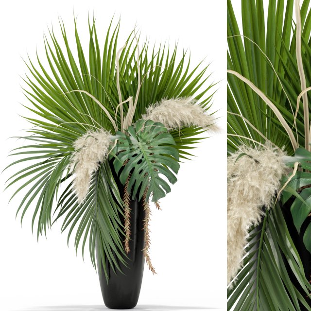 Plants collection 368 3D मॉडल .c4d .max .obj .3ds .fbx .stl .blend 