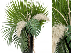 Коллекция растений 368 3D Модель