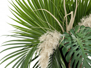 Plants collection 368 3D मॉडल