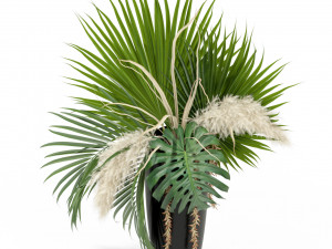 Plants collection 368 3D मॉडल