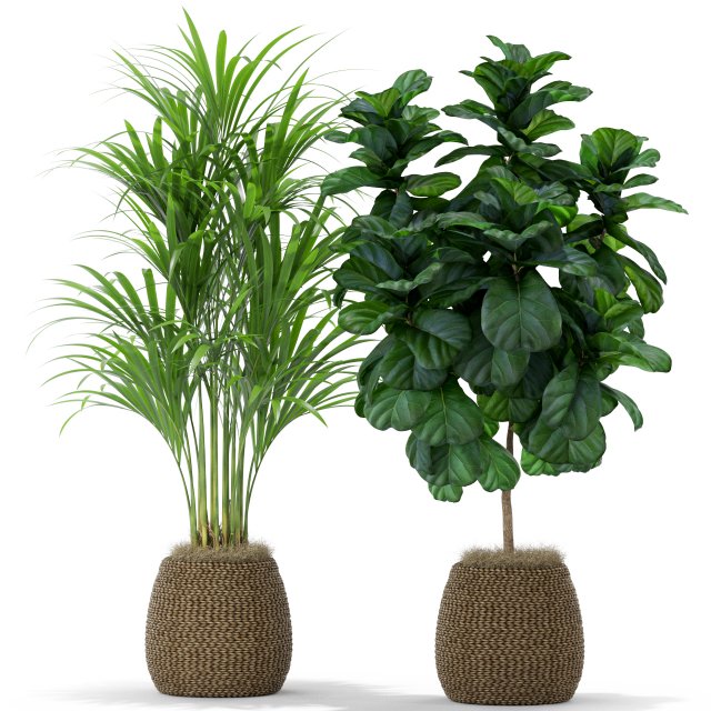 Plants collection 369 3D Model .c4d .max .obj .3ds .fbx .stl .blend 