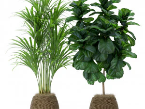 पौधों का संग्रह 369 3D मॉडल