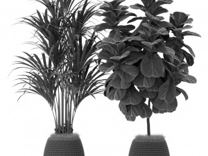 Plants collection 369 3D Model