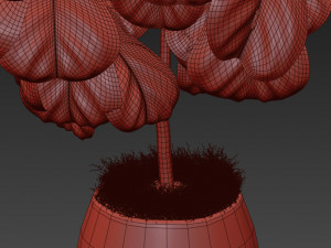 Plants collection 369 3D Model