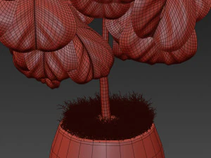 Plants collection 369 3D Model