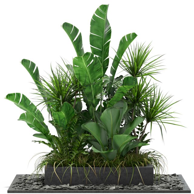 Plants collection 370 3D Model .c4d .max .obj .3ds .fbx .stl .blend 