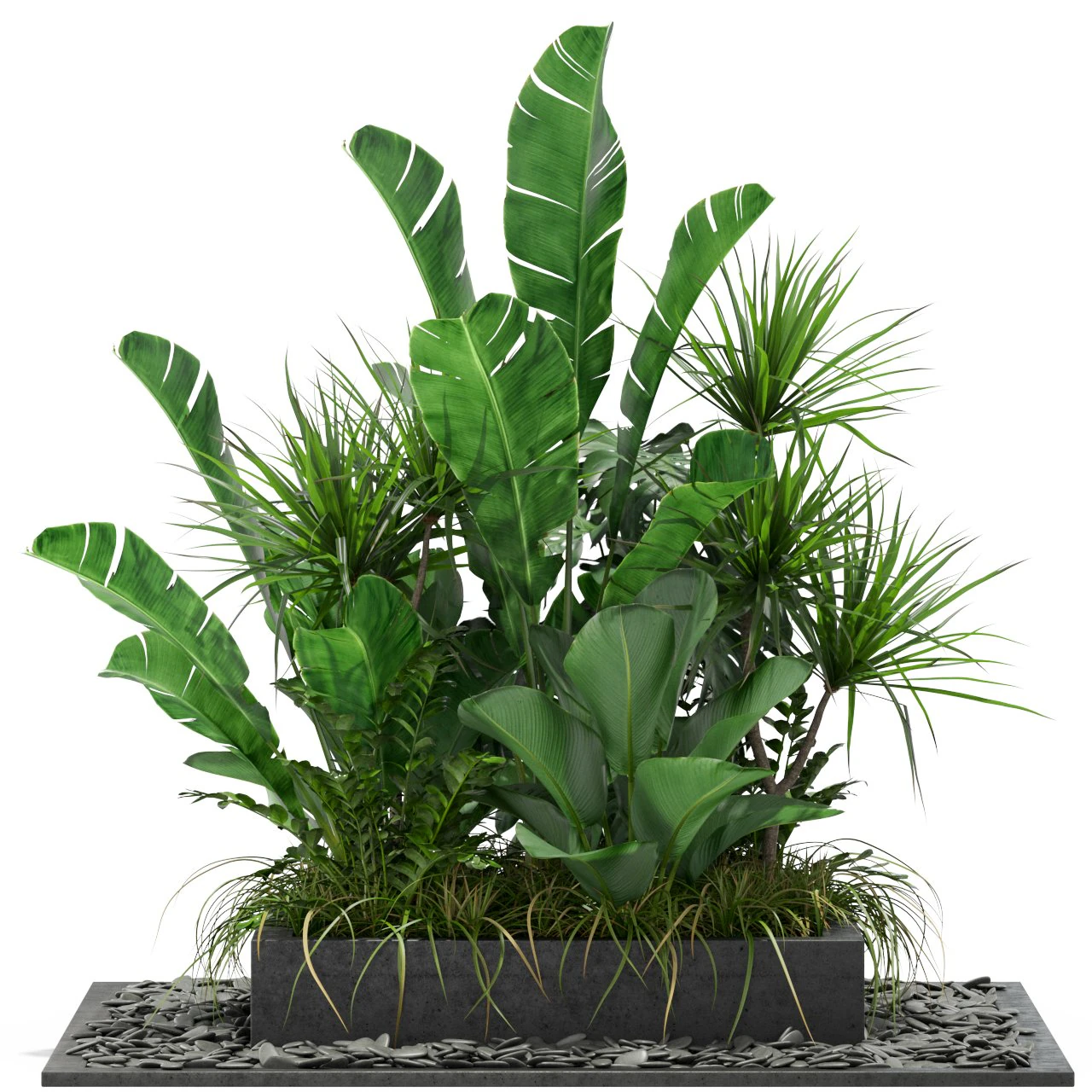 Plants collection 370 3D Model .c4d .max .obj .3ds .fbx .stl .blend
