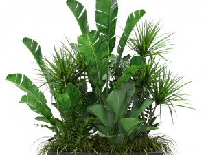 Bitki koleksiyonu 370 3D Model