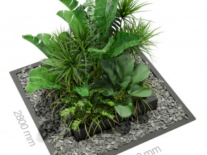 Plants collection 370 3D Model