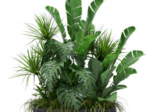 Plants collection 370 3D Model