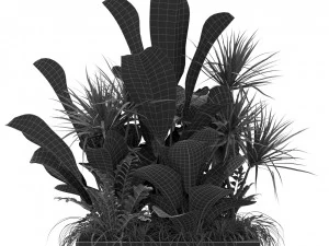 Plants collection 370 3D Model