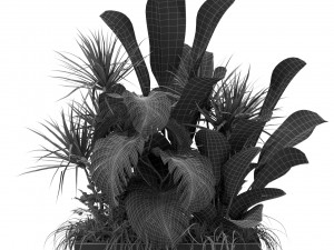 Plants collection 370 3D Model