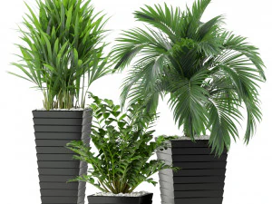 Plants collection 371 3D Model