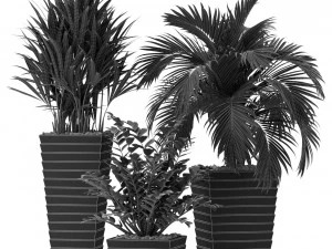 Plants collection 371 3D Model