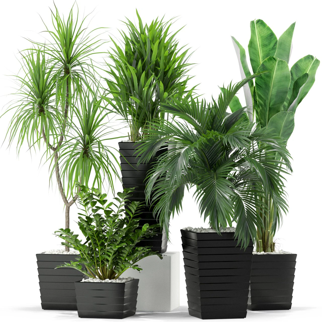 Plants collection 371 3D Model .c4d .max .obj .3ds .fbx .stl .blend 