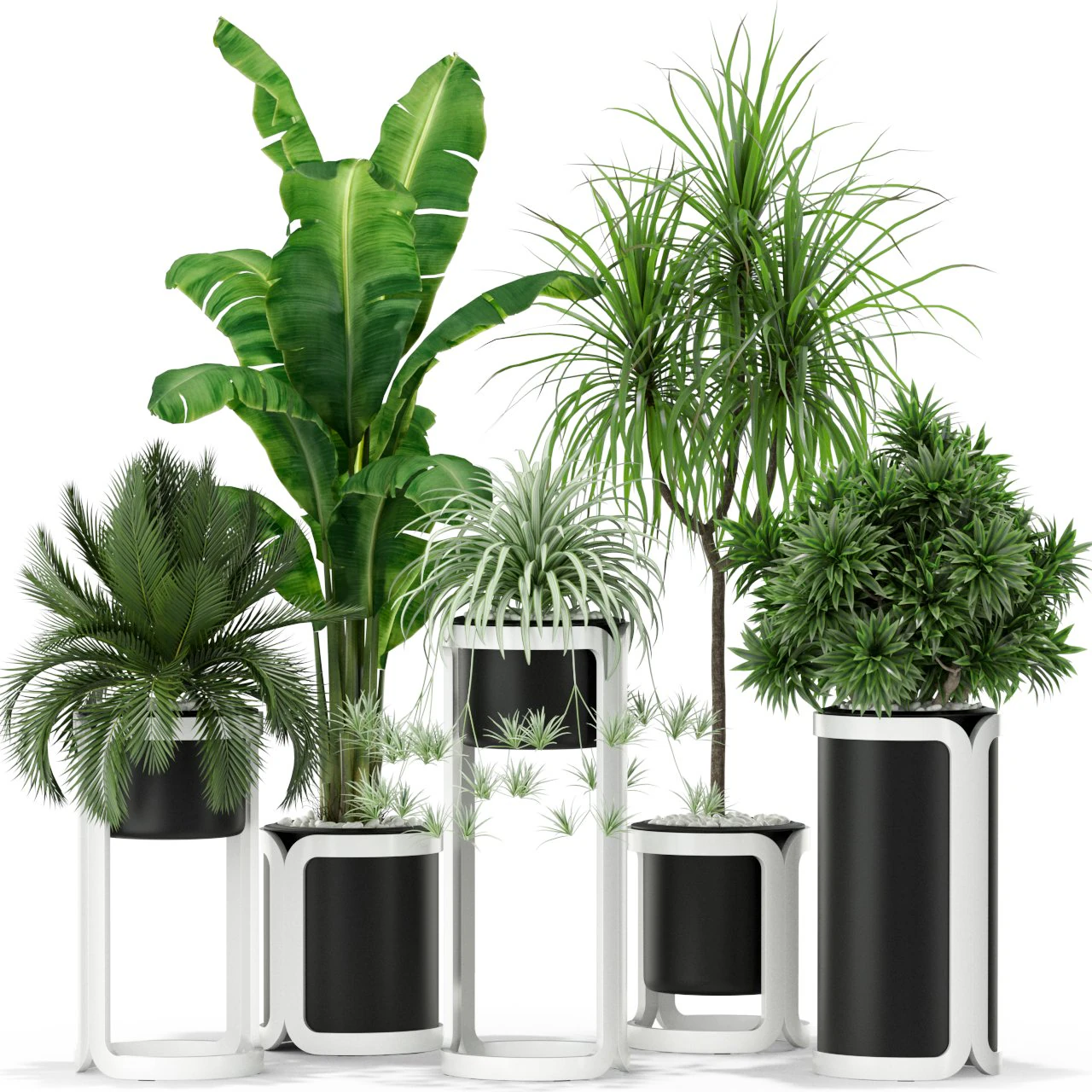 Plants collection 372 3D Model .c4d .max .obj .3ds .fbx .stl .blend 