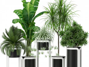 Коллекция растений 372 3D Модель