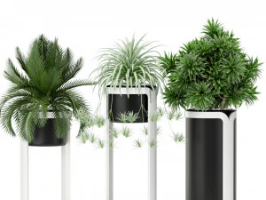 Plants collection 372 3D Model
