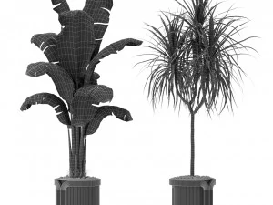 Plants collection 372 3D Model