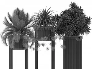 Plants collection 372 3D Model