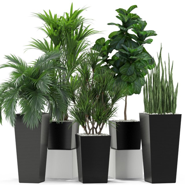 Plants collection 373 3D Model .c4d .max .obj .3ds .fbx .stl .blend 