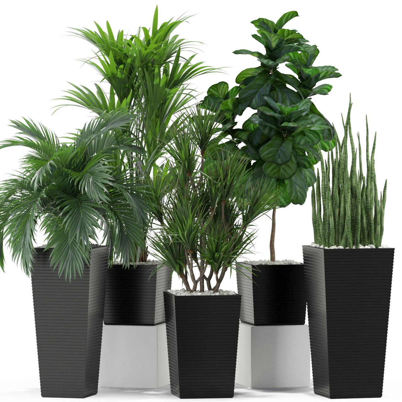 Plants collection 373 3D Model .c4d .max .obj .3ds .fbx .stl .blend 