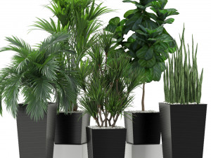 Plants collection 373 3D-Modell