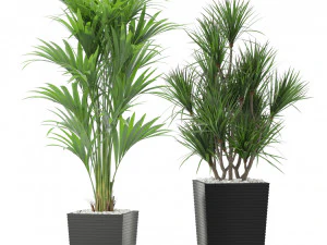 Plants collection 373 3D Model