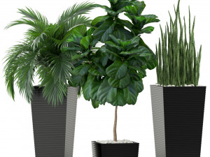 Plants collection 373 3D Model