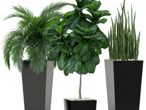 Plants collection 373 3D Model