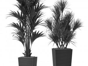 Plants collection 373 3D Model