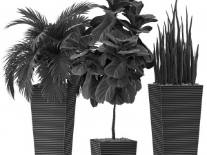 Plants collection 373 3D Model