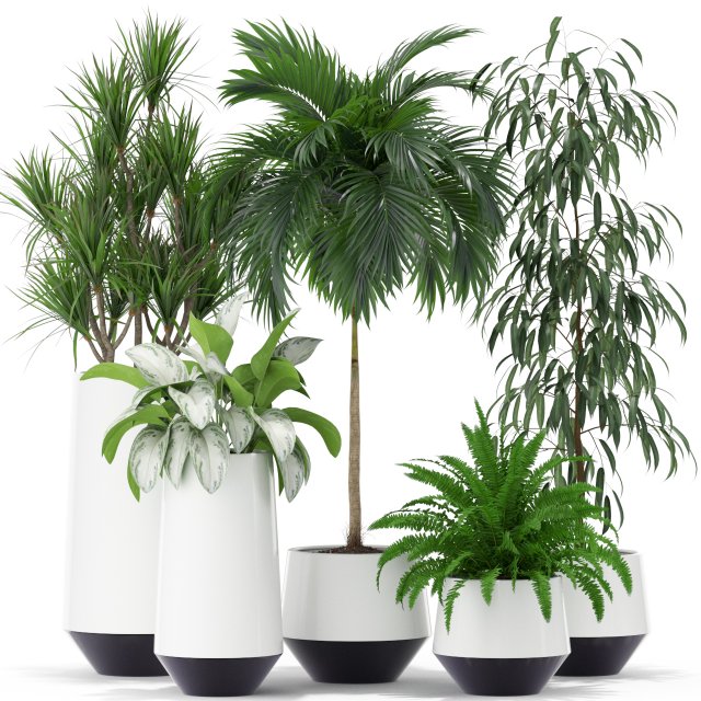 Plants collection 374 3D Model .c4d .max .obj .3ds .fbx .stl .blend 