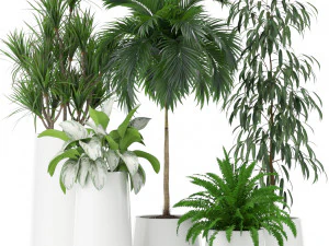 Коллекция растений 374 3D Модель