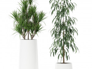 Plants collection 374 3D Model