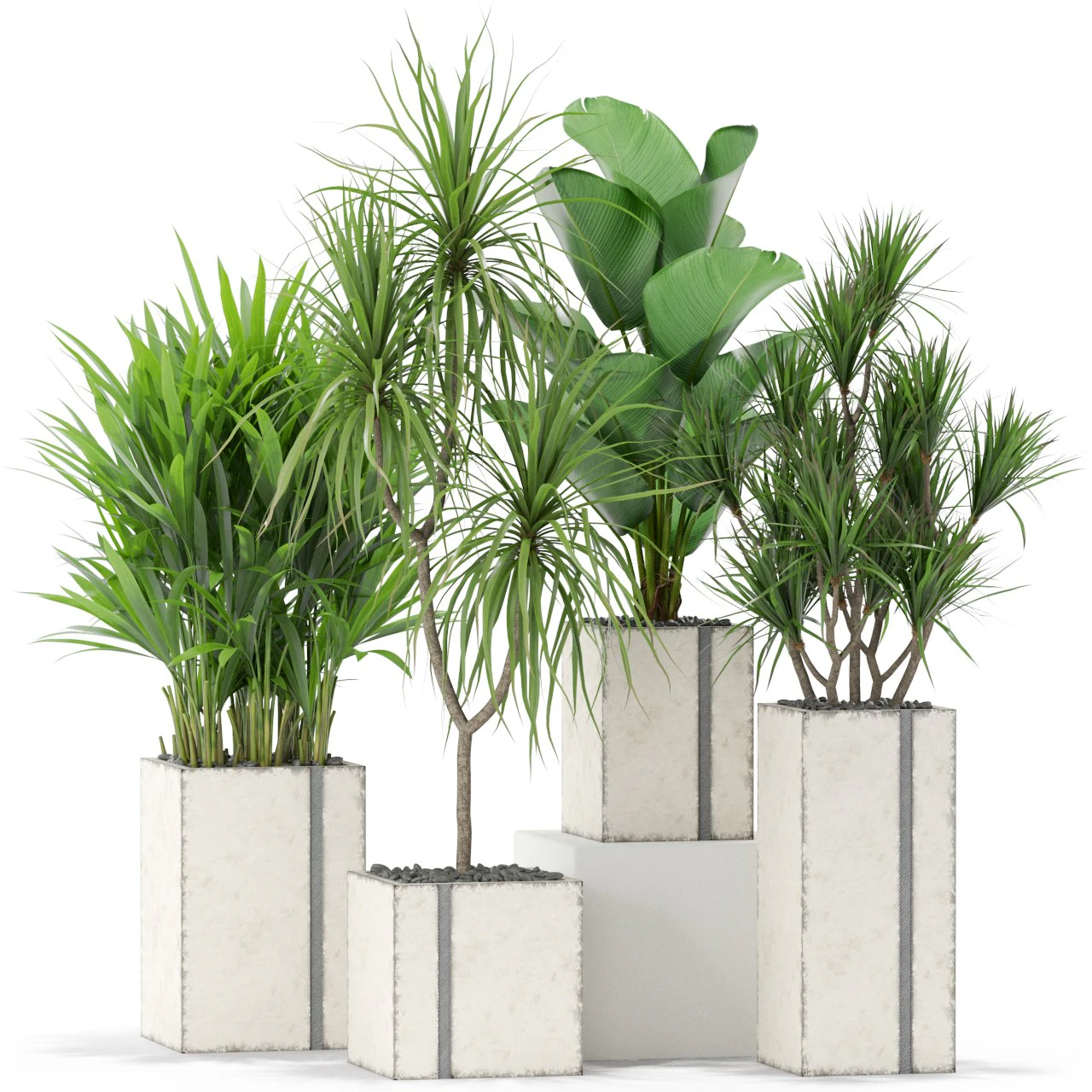 Plants collection 375 3D Model .c4d .max .obj .3ds .fbx .stl .blend 