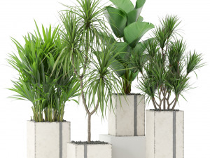Plants collection 375 Modelo 3D