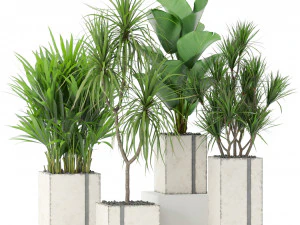 Коллекция растений 375 3D Модель