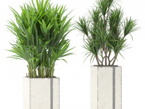 Plants collection 375 3D Model