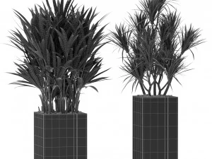 Plants collection 375 3D Model