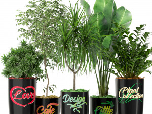 Plants collection 376 3Dモデル